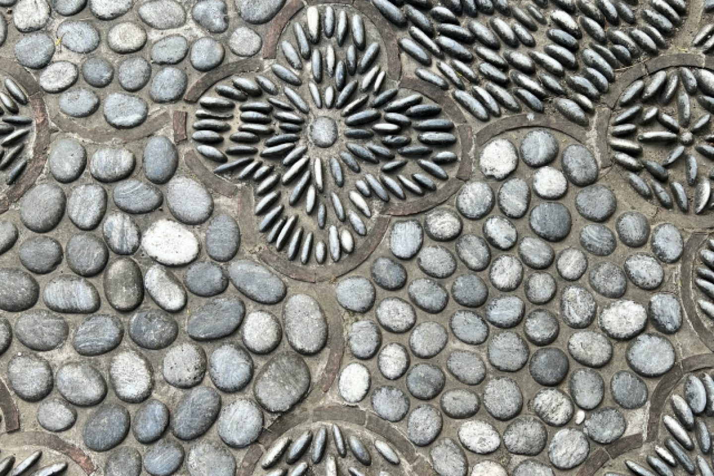24867238_s