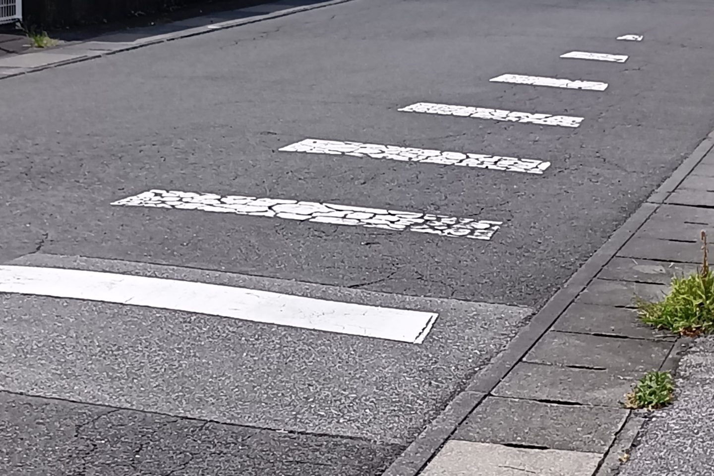 250828124519079