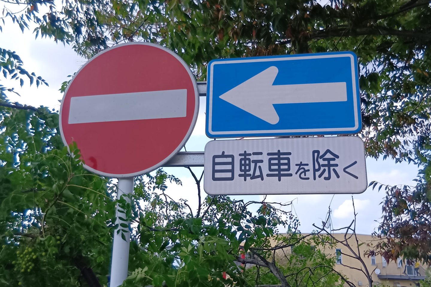 250928150543724
