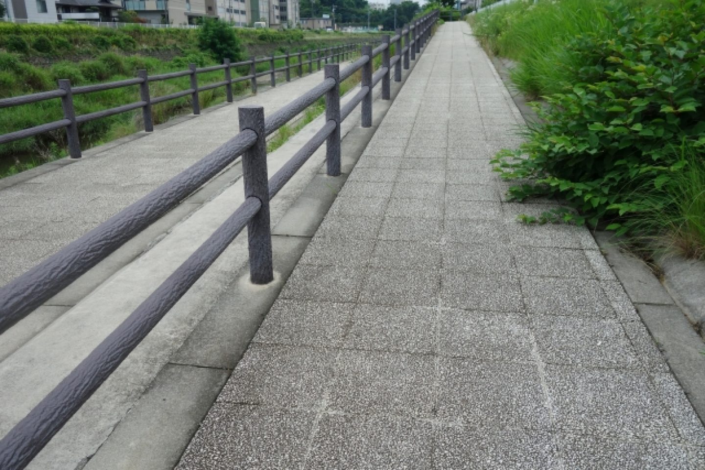 2685982_s